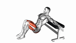 Bodyweight Hip Thrust